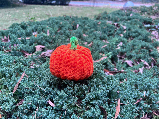 𝕻𝖚𝖒𝖕𝖐𝖎𝖓 𝕾𝖙𝖚𝖋𝖋𝖊𝖉 𝕯𝖊𝖈𝖔𝖗𝖆𝖙𝖎𝖔𝖓